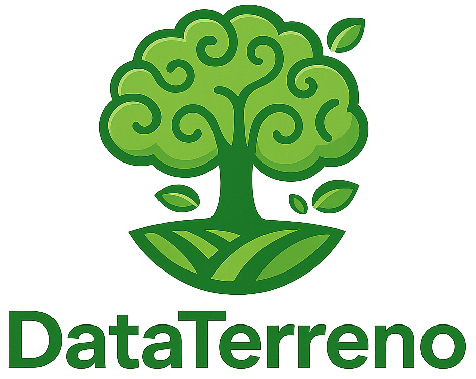 DataTerreno Logo